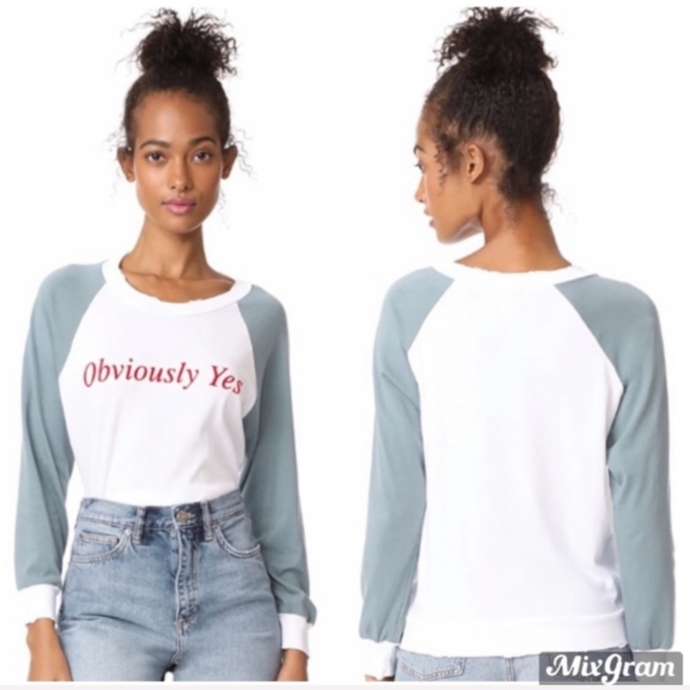 Wildfox Graphic Sweatshirt Long Sleeve Tee